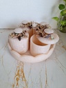 White 4 Jar Resin Round Tray