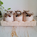 Shimmering Pop Jar Rectangle Revolving Platter