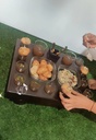 IMG-20240228-WA0009.webp