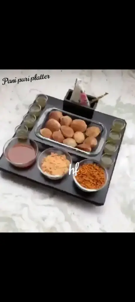 Revolving Pani Puri Platter